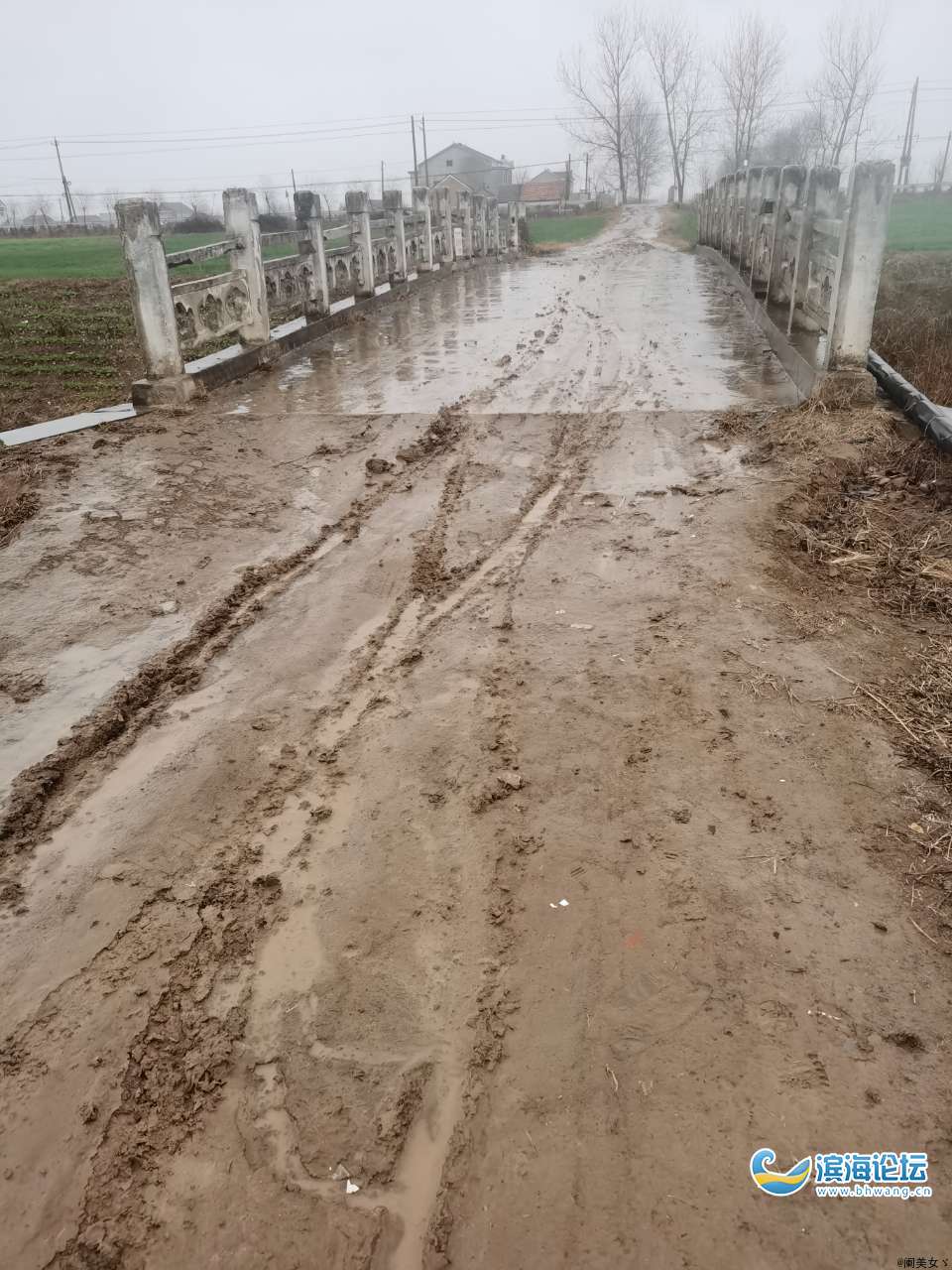 濱海縣濱淮鎮倪灘村六組路早該修好了,尤其下雨天接送孩子確實遭罪